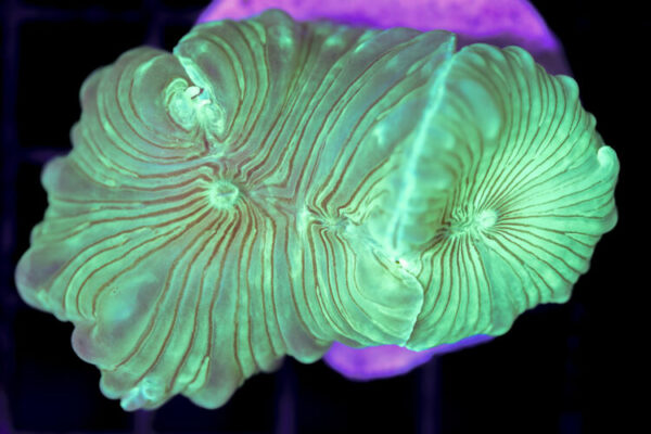 import placeholder for 3034489