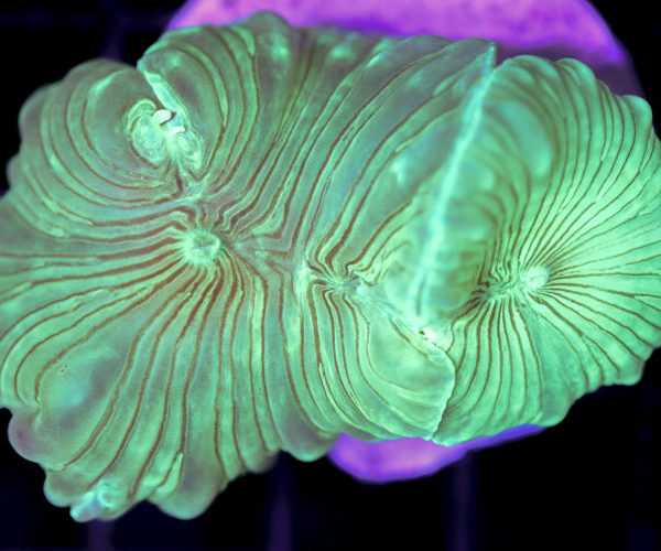 import placeholder for 3034489