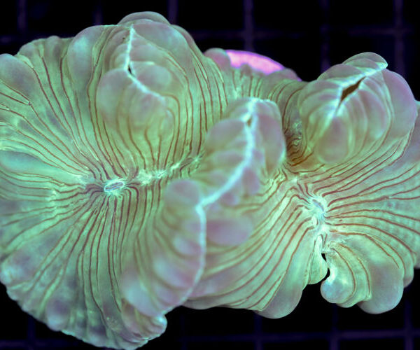 import placeholder for 3034488