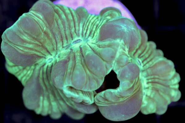 import placeholder for 3034485