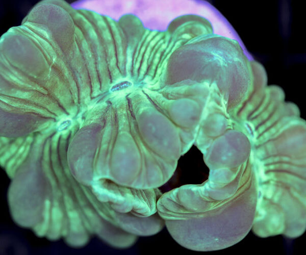 import placeholder for 3034485