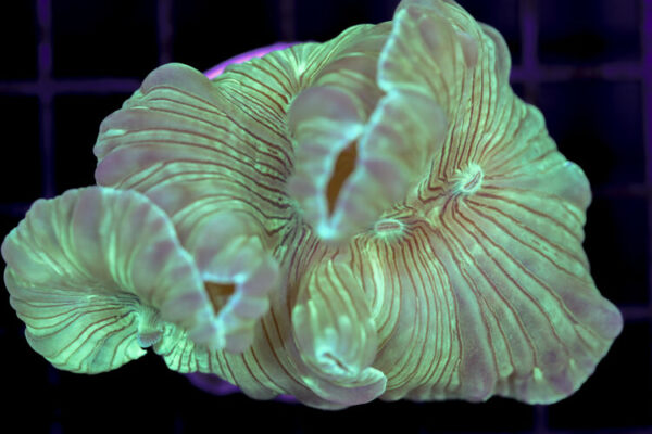 import placeholder for 3034484