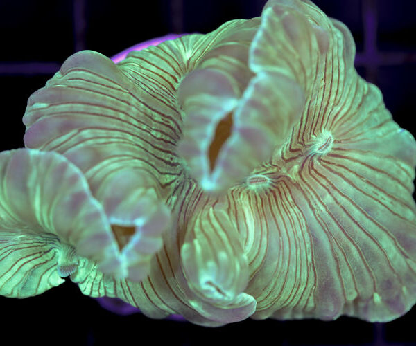 import placeholder for 3034484