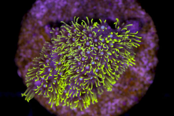 import placeholder for 3034475