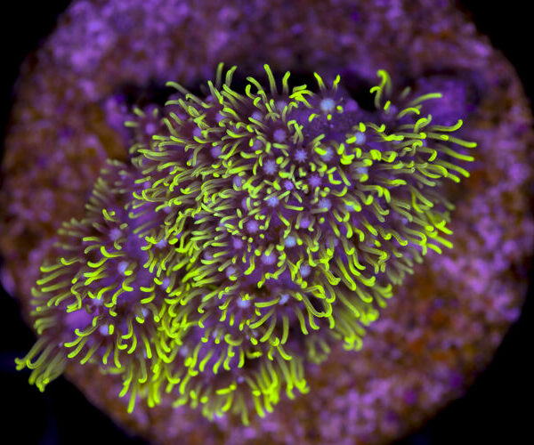 import placeholder for 3034475