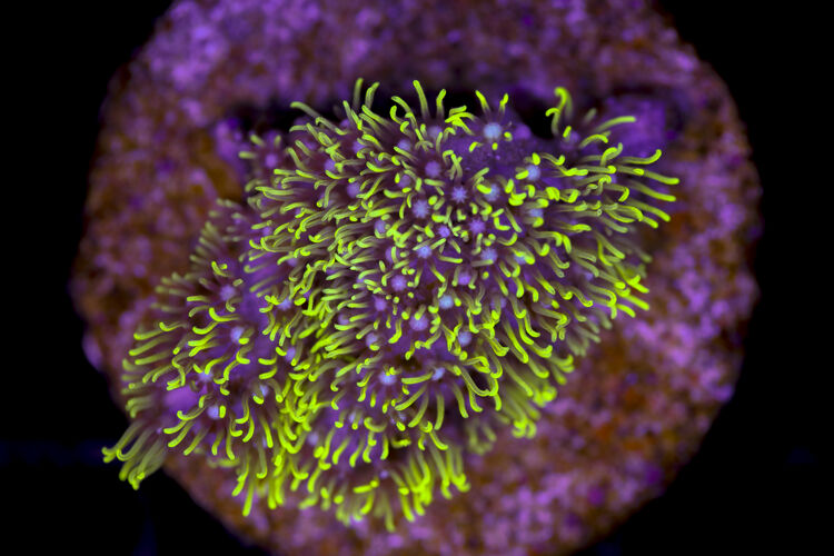 import placeholder for 3034475