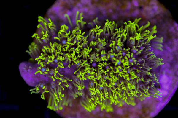 import placeholder for 3034474