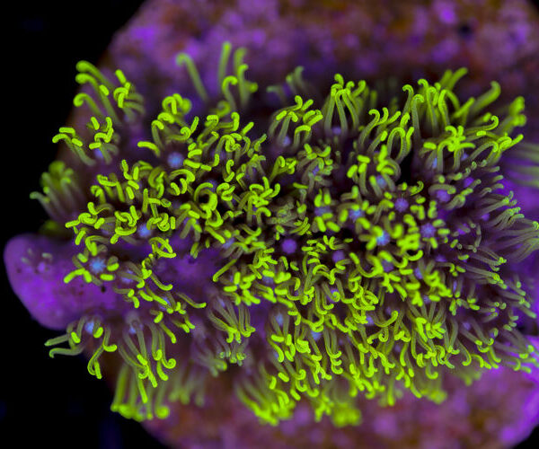 import placeholder for 3034474