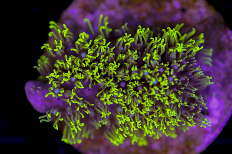 import placeholder for 3034474