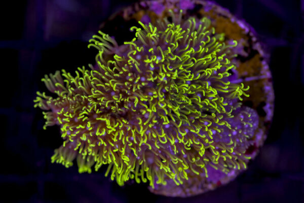 import placeholder for 3034473