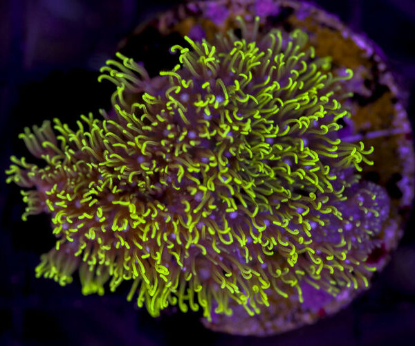 import placeholder for 3034473