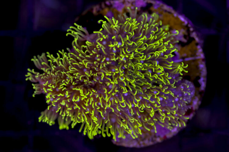 import placeholder for 3034473