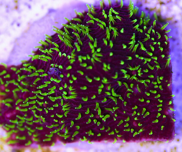 import placeholder for 3034462