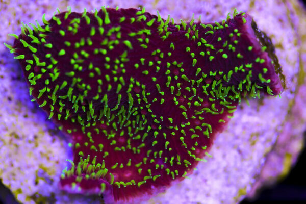 import placeholder for 3034461