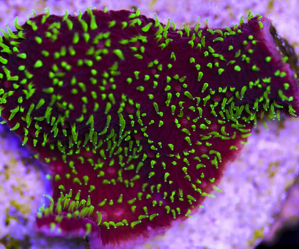 import placeholder for 3034461