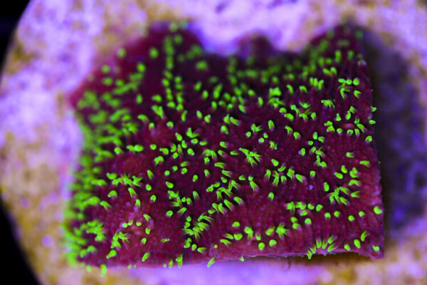 import placeholder for 3034460