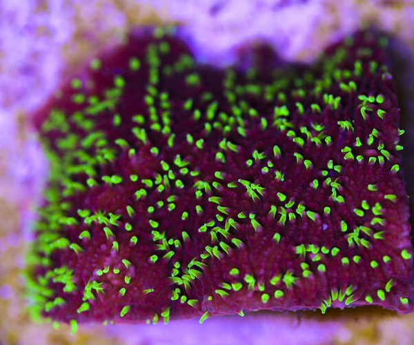 import placeholder for 3034460