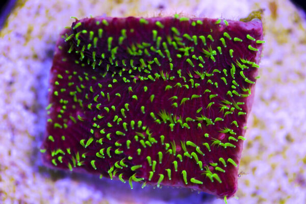 import placeholder for 3034459