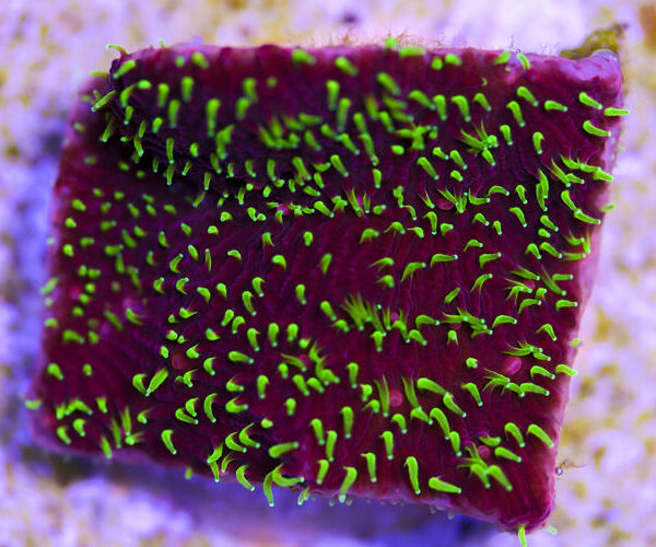 import placeholder for 3034459