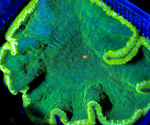 import placeholder for 3034453