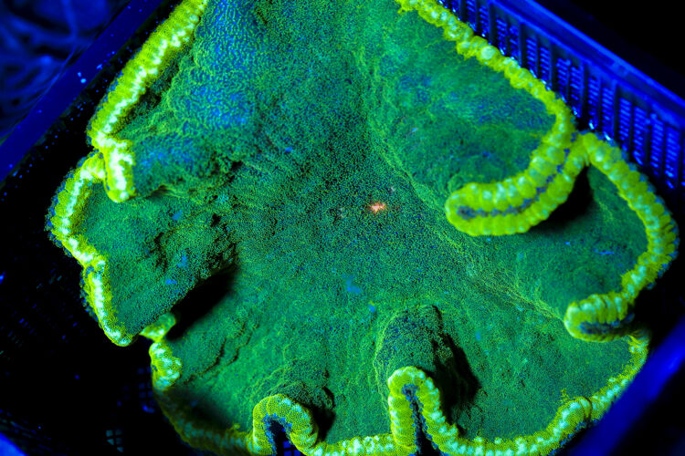 import placeholder for 3034453