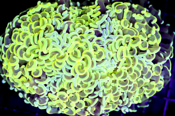 import placeholder for 3002348