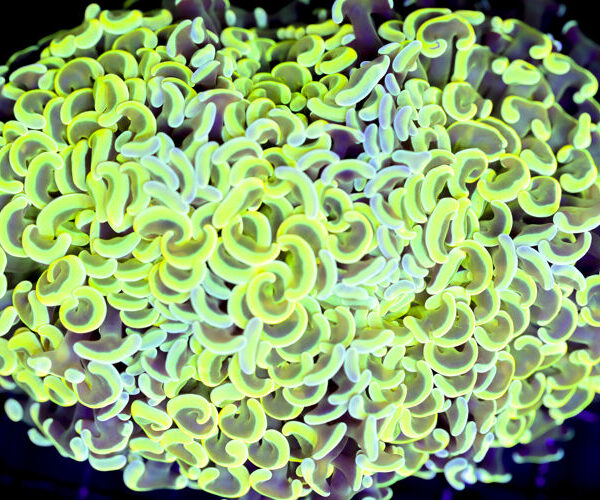 import placeholder for 3002348