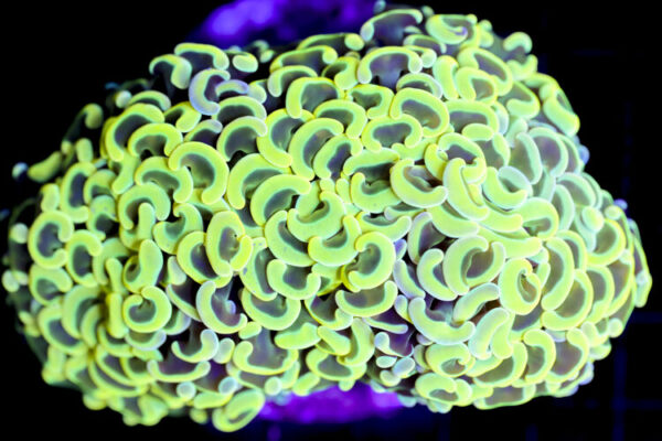 import placeholder for 3002347