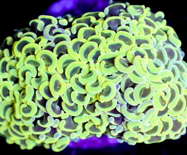 import placeholder for 3002347