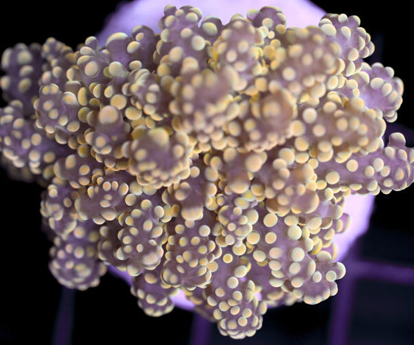 import placeholder for 3002346