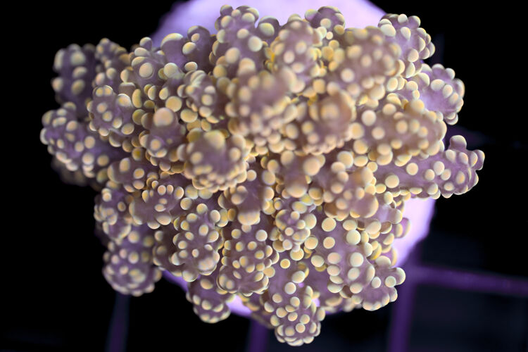 import placeholder for 3002346