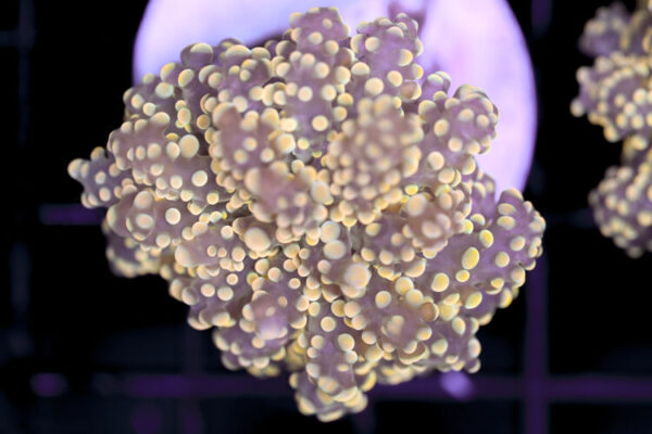 import placeholder for 3002344