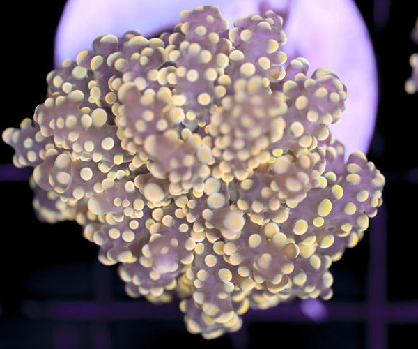 import placeholder for 3002344