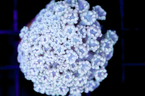 import placeholder for 3001871