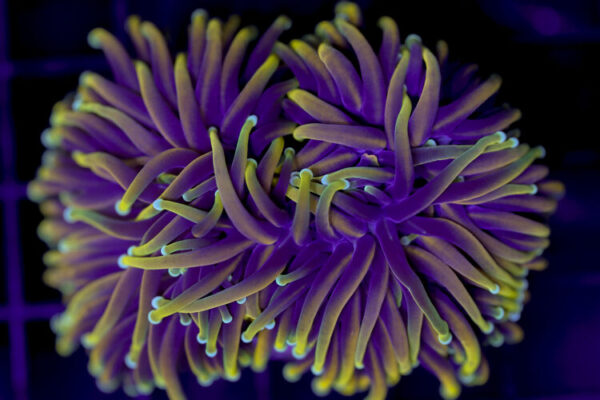 import placeholder for 3001865