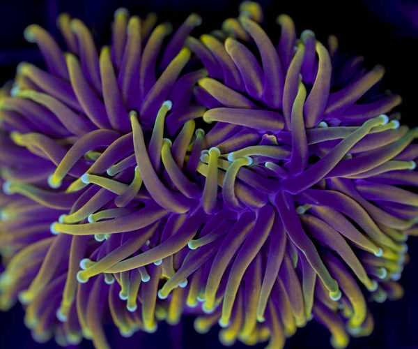 import placeholder for 3001865