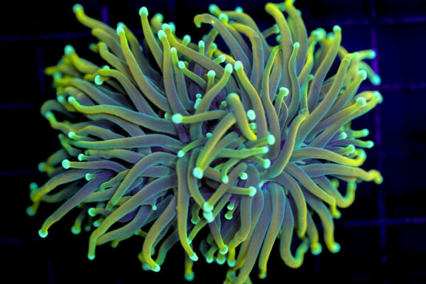 import placeholder for 3001864