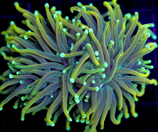 import placeholder for 3001864