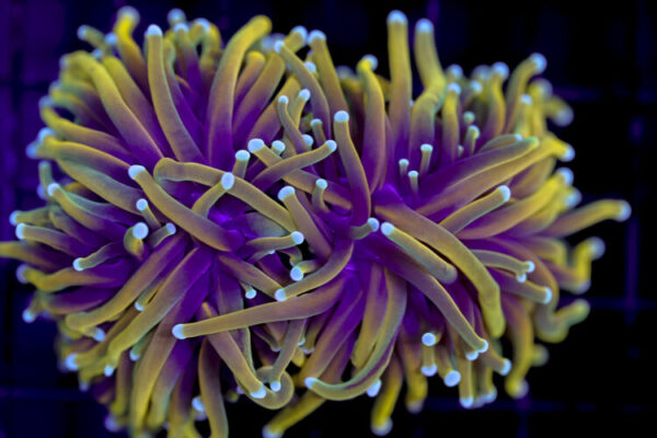 import placeholder for 3001863