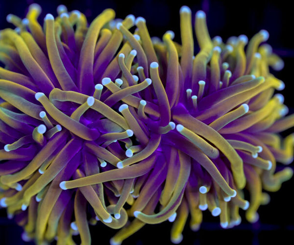 import placeholder for 3001863