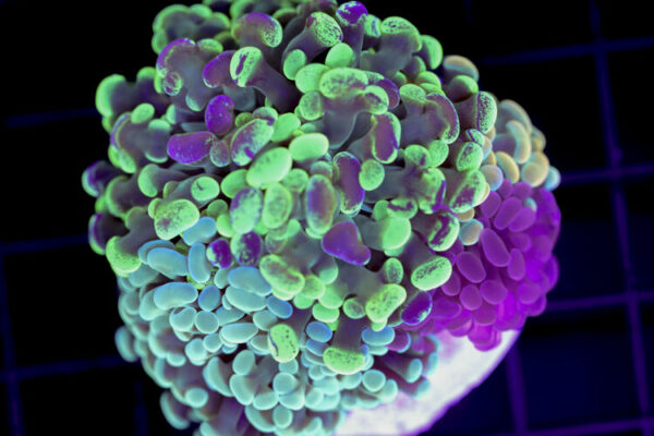 import placeholder for 3001857