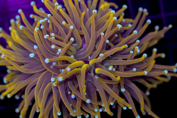 import placeholder for 3001846