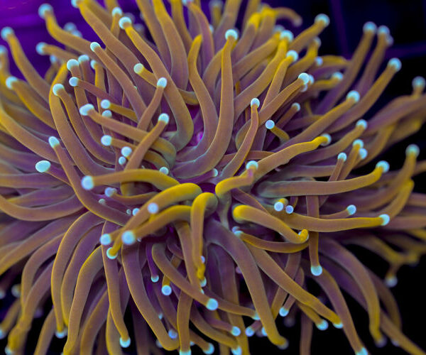 import placeholder for 3001846