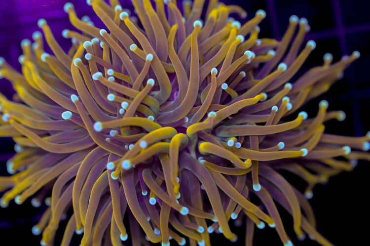 import placeholder for 3001846