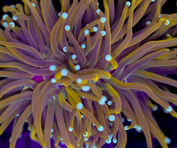 import placeholder for 3001844