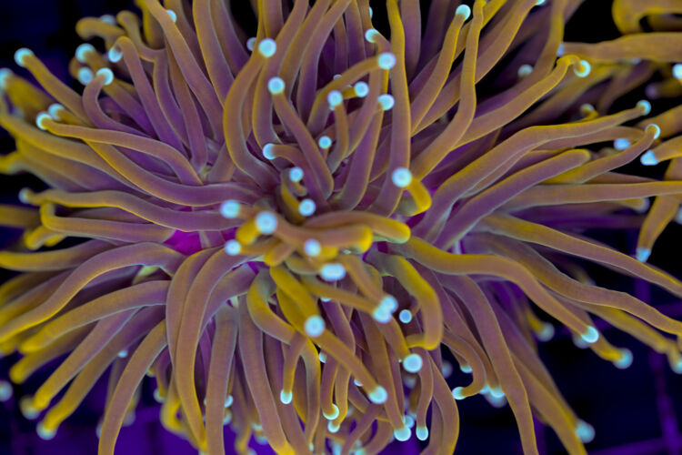 import placeholder for 3001844