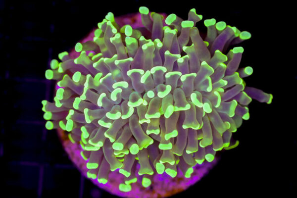 import placeholder for 2997243