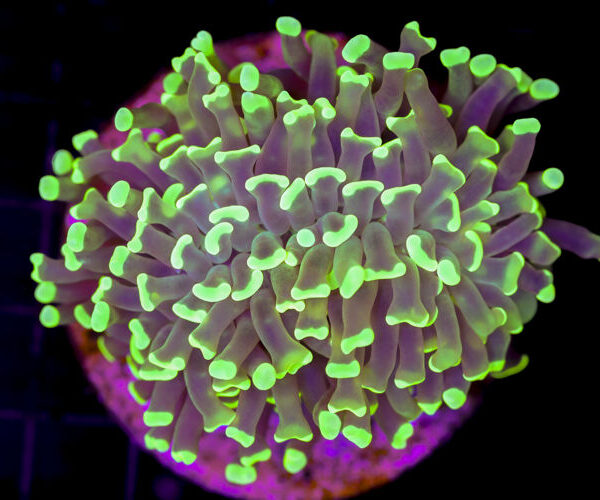 import placeholder for 2997243