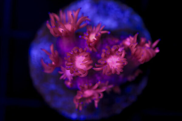 import placeholder for 2997227