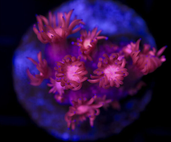 import placeholder for 2997227